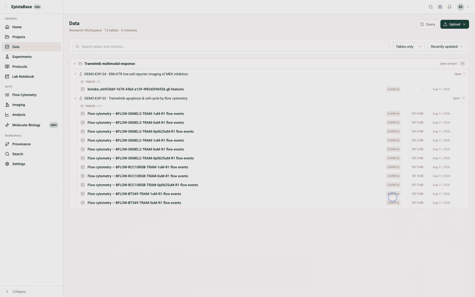 The EpistaBase data catalog narrowing raw flow files to queryable event tables
