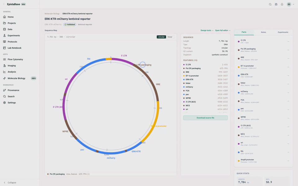 An annotated circular ERK-KTR-mCherry plasmid map switching to a linear sequence view